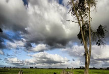 开云体育-旋风腿定乾坤！全国跆拳道争霸赛惊现王者之姿