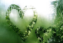 开云APP-全球篮球赛历大洗牌！FIBA延期风暴背后的商业暗战