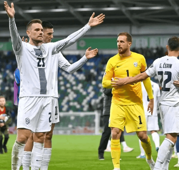 比利时国家队绝地反击，挪威队难敌对手的简单介绍