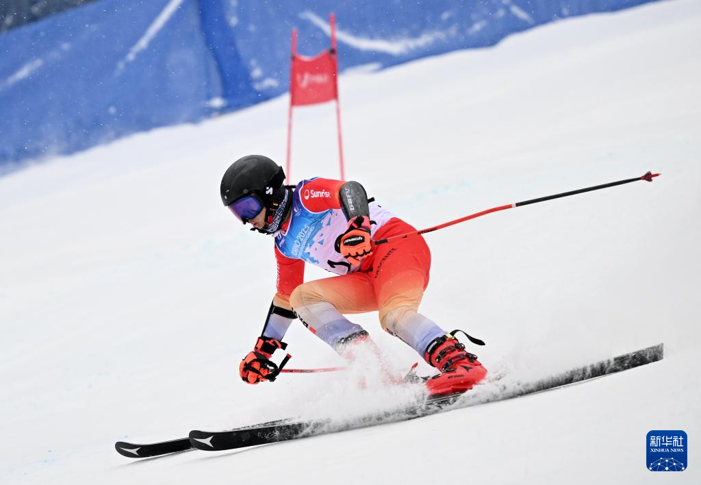 阿尔卑斯滑雪男子超级大回转意大利选手获金的简单介绍