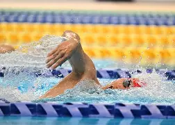 捷克游泳健将在赛场上独领风骚