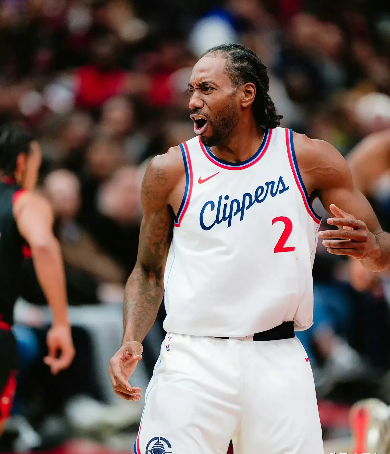 包含快船惨败雷霆，山猫遭遇重挫的词条