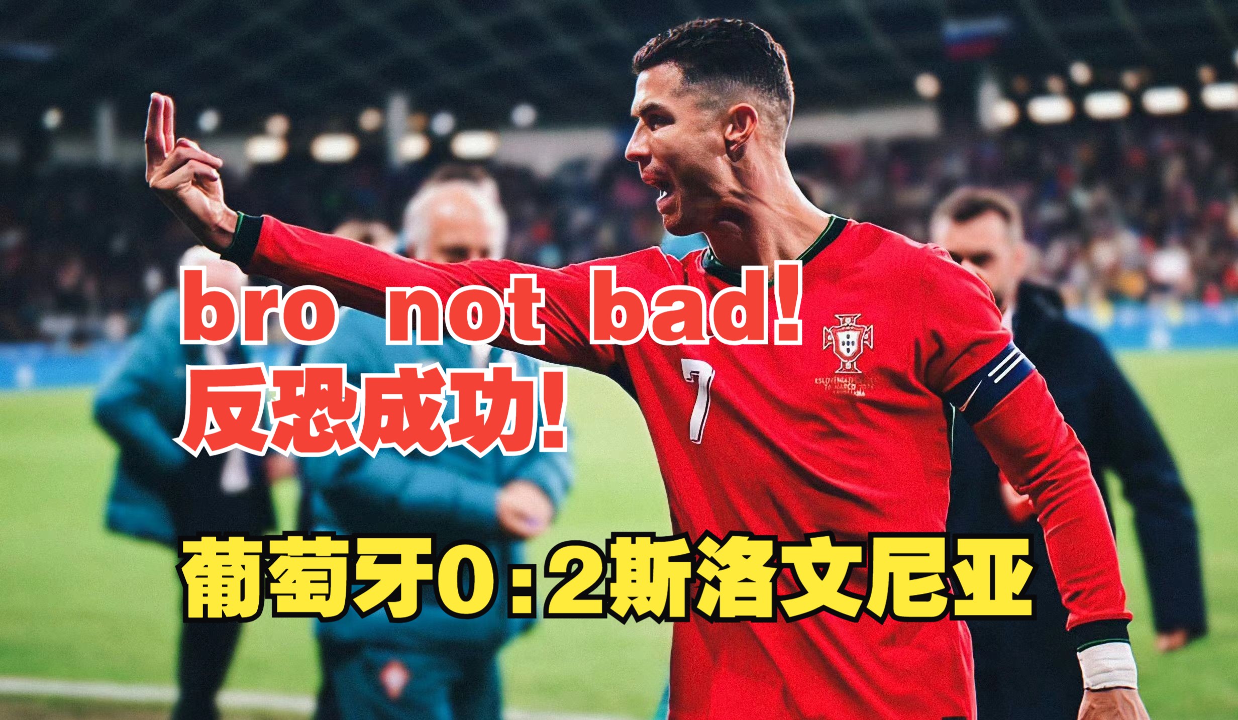 斯洛文尼亚队惨败，丢失出线机会的简单介绍