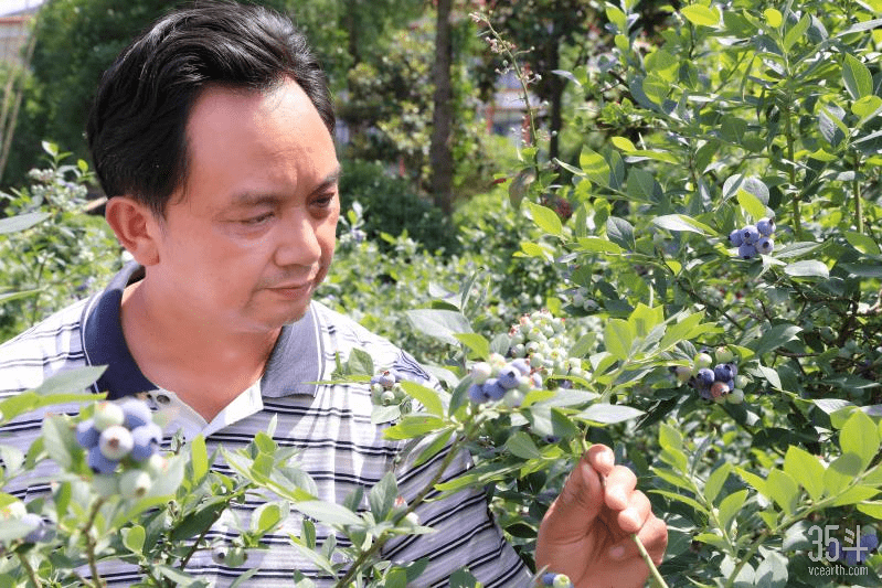 四川再次告捷，深耕基础打法得到验证