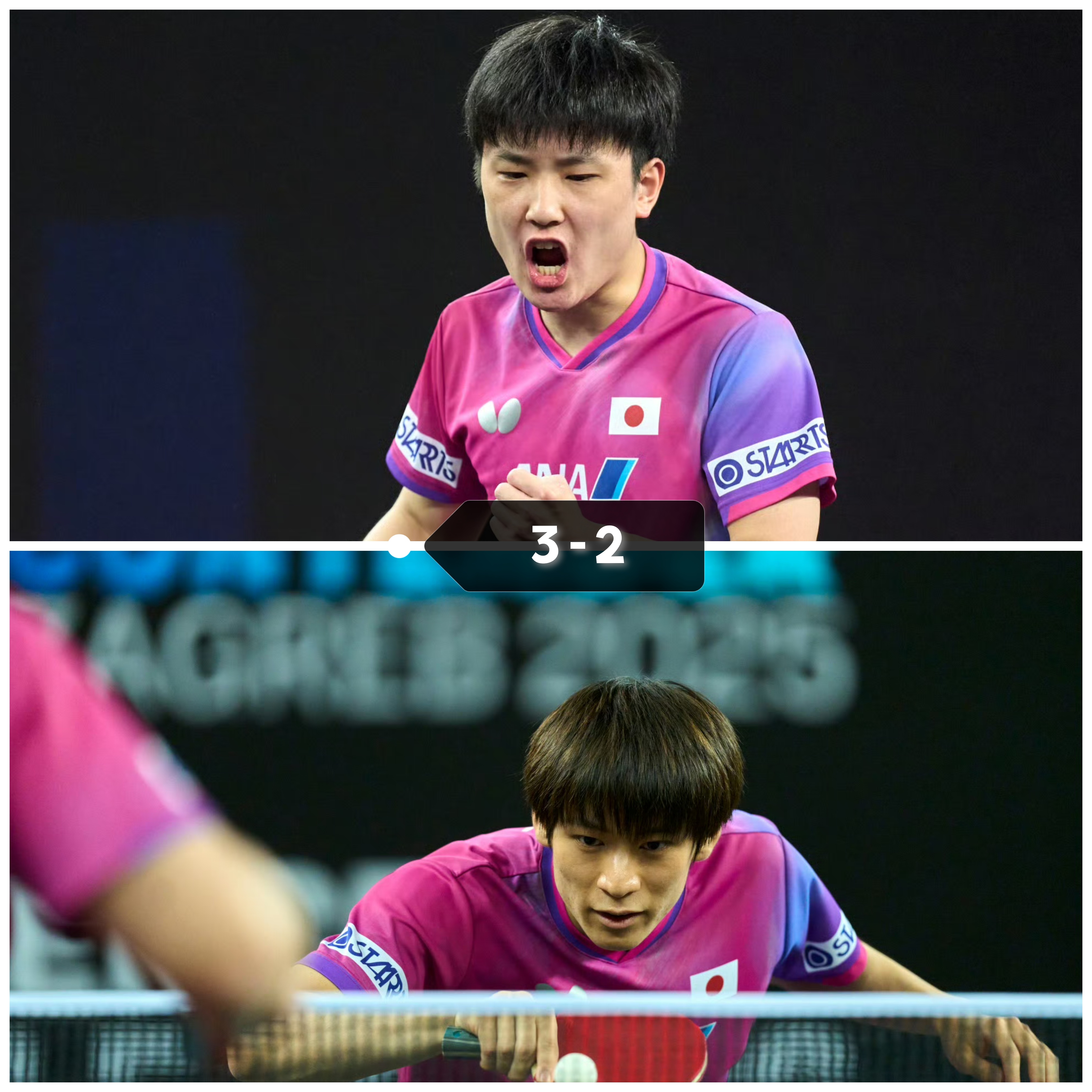 英格兰队逆转波兰队，张本智和高光表现的简单介绍