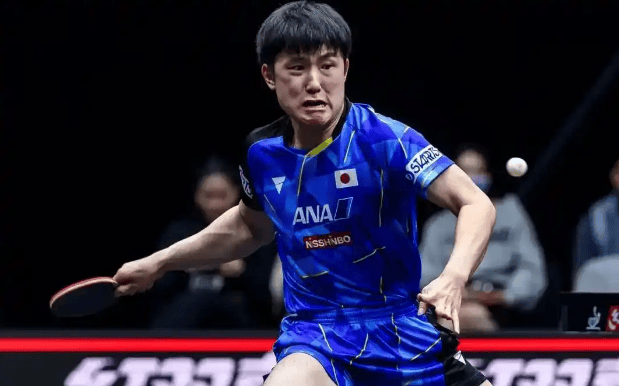 英格兰队逆转波兰队，张本智和高光表现的简单介绍