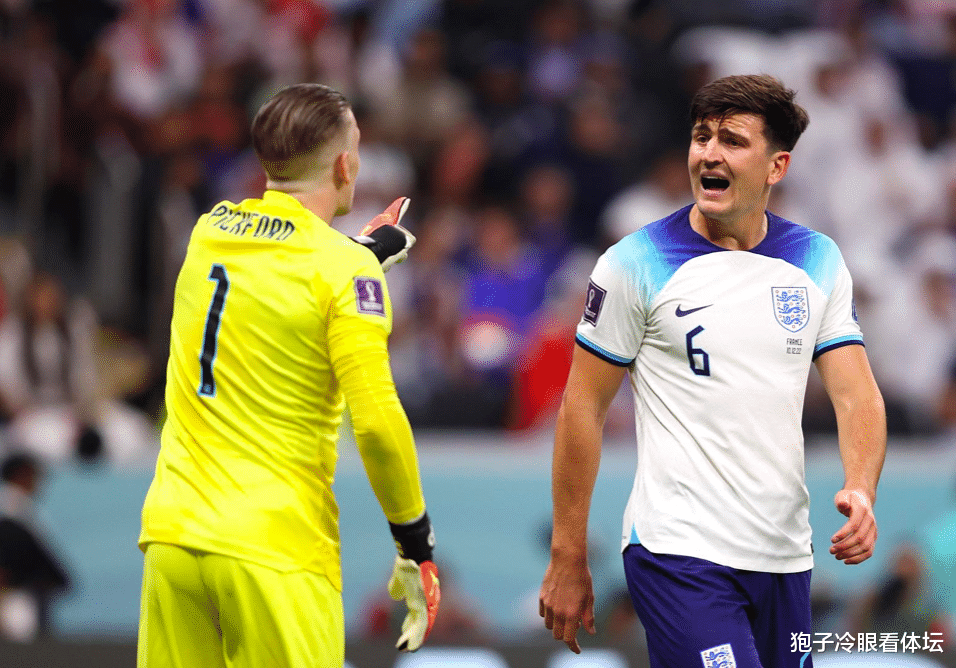 法国队险胜日本队，张继科高光表现的简单介绍